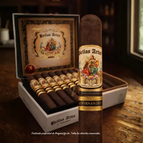 Bellas Artes BY AJ Fernandez Maduro Toro (6.0"x54)