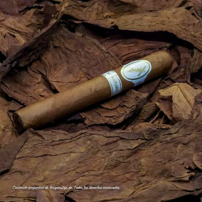 [DAV001] Davidoff Signature 2000 Corona 5 1/16" x 43
