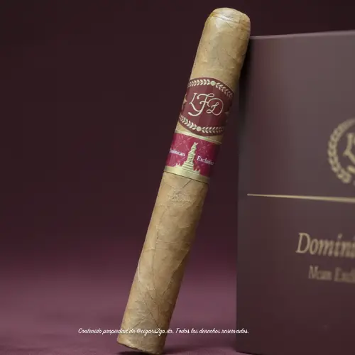 LFD Dominican Exclusive