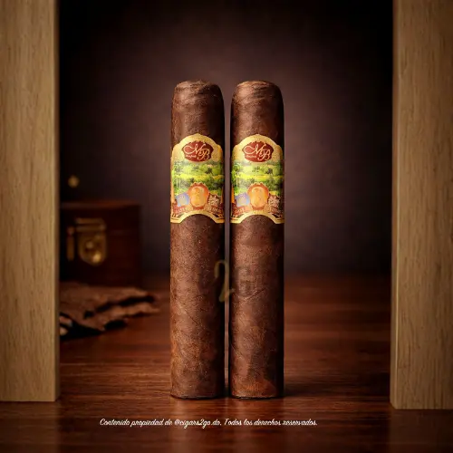 Oliva Master Blends III Robusto (5" x 50)