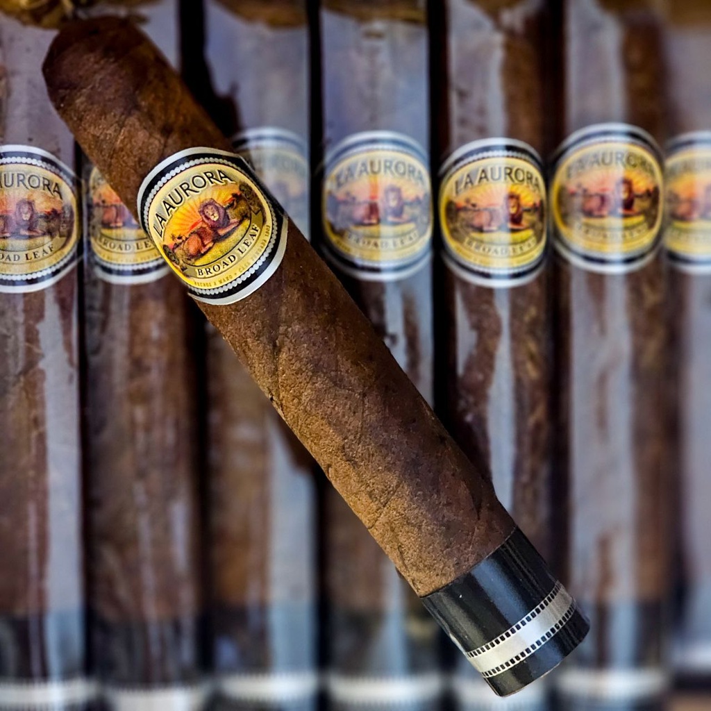 La Aurora 1903 Edition Broadleaf Robusto