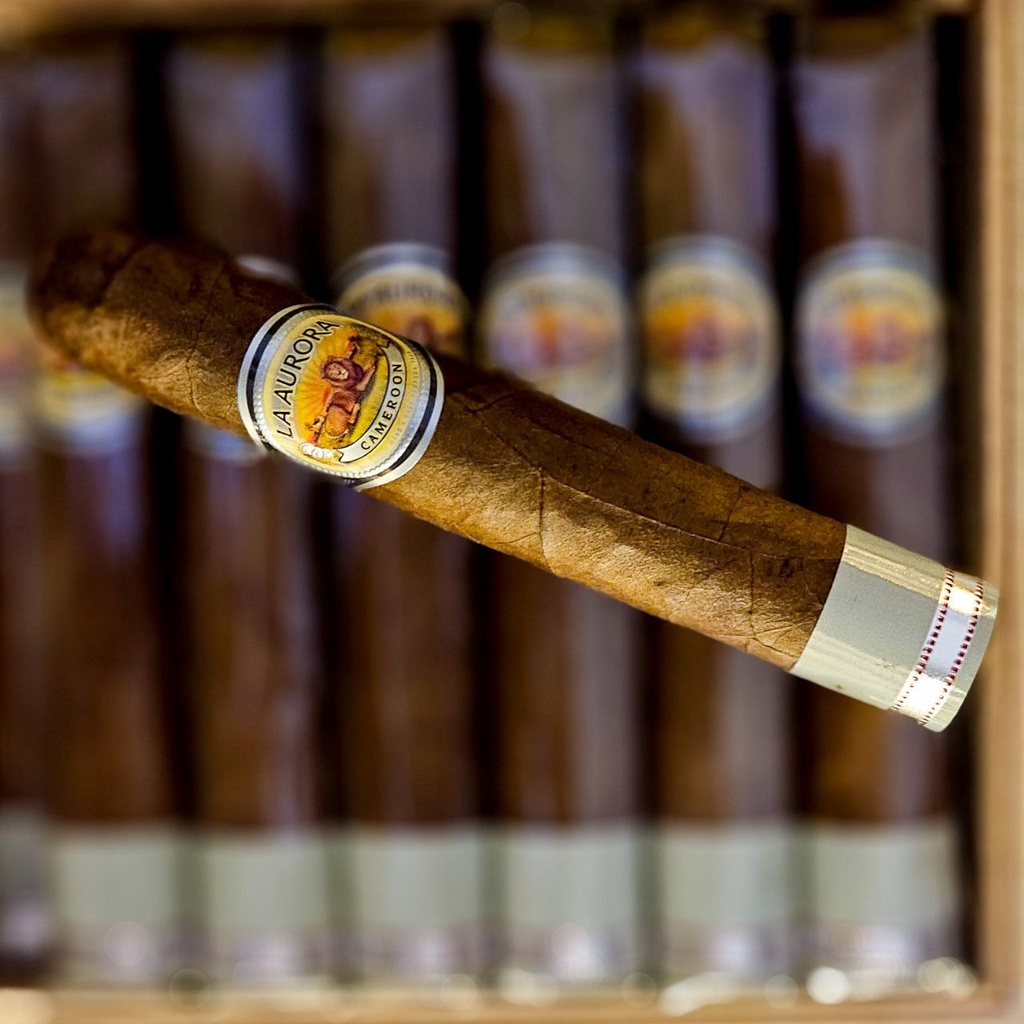La Aurora 1903 Edition Cameroon Robusto