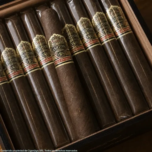 Ashton VSG Robusto (5.5x50)