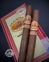 La Aurora Cameroon 1903 Corona