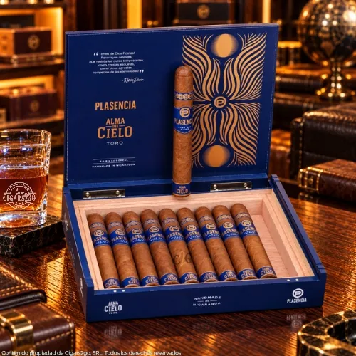 Plasencia Alma del Cielo Boreal Toro (6 1/8" x 54)