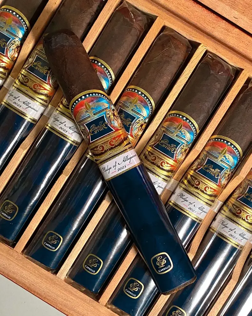 E.P. Carrillo Pledge Of Allegiance Toro