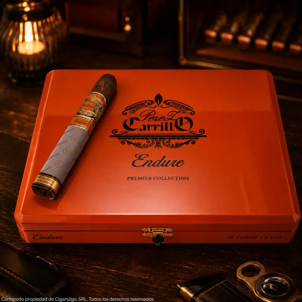 E.P. Carrillo Endure Toro