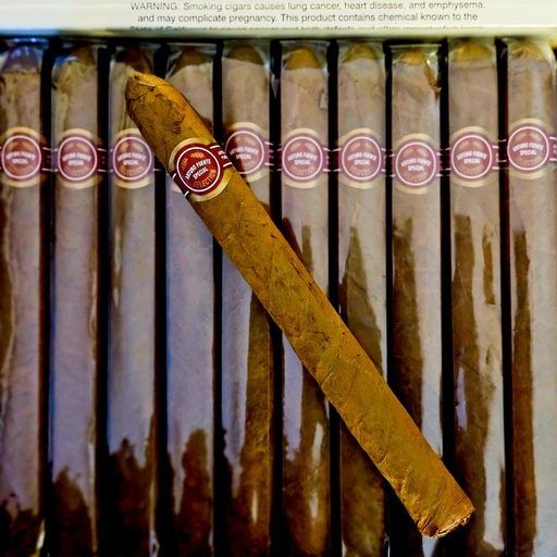 [AFU013] A Fuente Curly Head Deluxe Natural