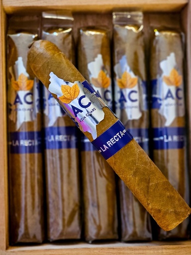 [AZU002] Azua Cigars La Recta Robusto 52 x 5