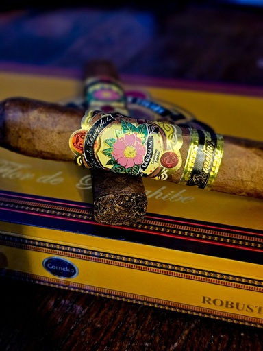 [BAY001] Flor de Bayahibe Robusto BoxPress