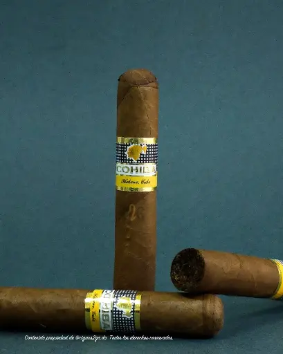 [COH102] Cohiba Robusto