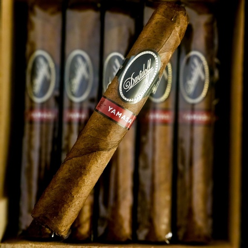 [DAV005] Davidoff Yamasa Robusto
