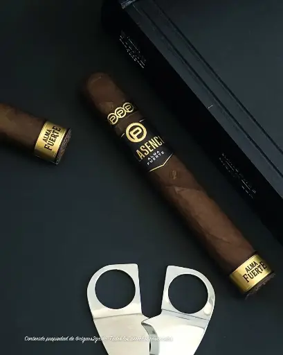 [PLA024] Plasencia Alma Fuerte Nestor IV Toro (6.25" x 54)